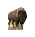 Bison Lifesize Cardboard cutout