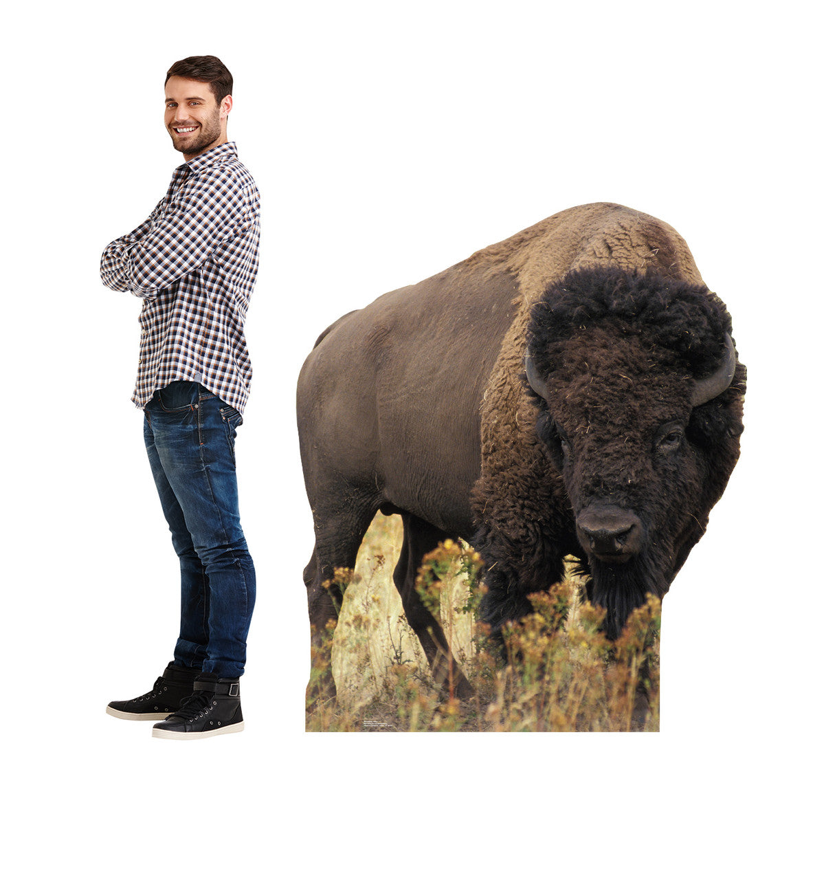 Bison Lifesize Cardboard cutout with model