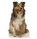 Collie Cardboard Cutout