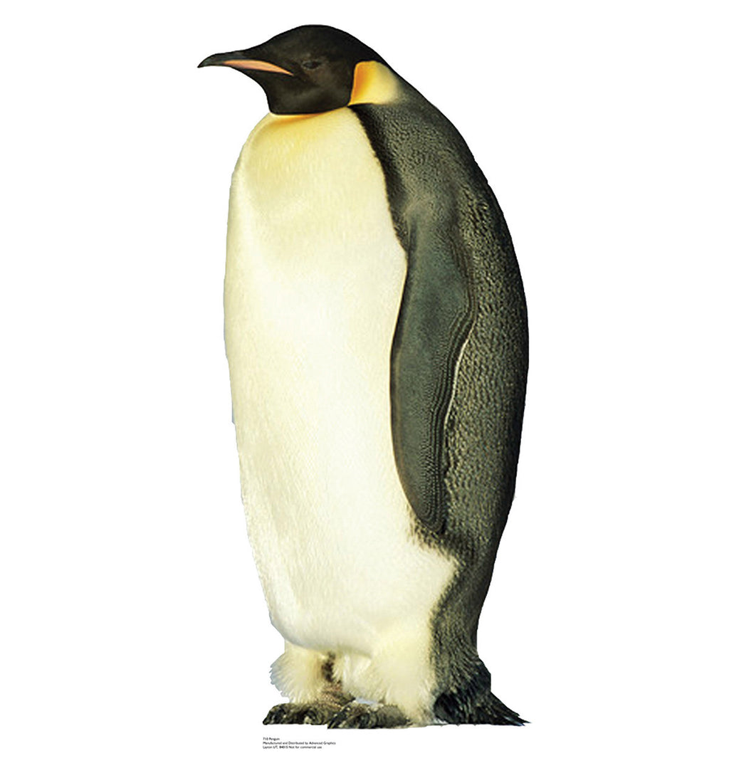 Emperor Penguin Lifesize Cardboard Cutout