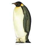 Emperor Penguin Lifesize Cardboard Cutout
