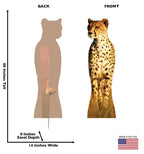 Cheetah Lifesize Cardboard Cutout dimensions