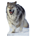 Wolf Lifesize Cardboard Cutout