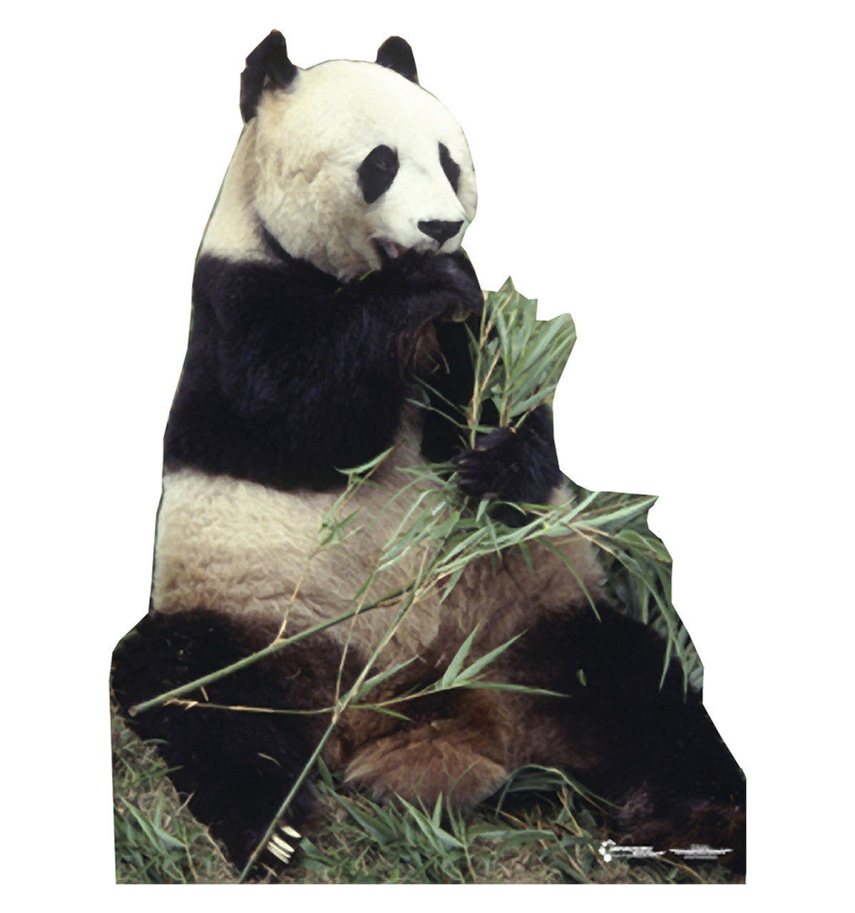Panda Lifesize Cardboad Cutout