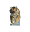 Tiger in Snow Lifesize Cardboard Cutout