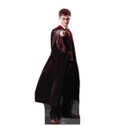 Harry Potter Lifesize Cardboard Cutout