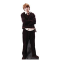 Ron Weasley Life-Size Standee