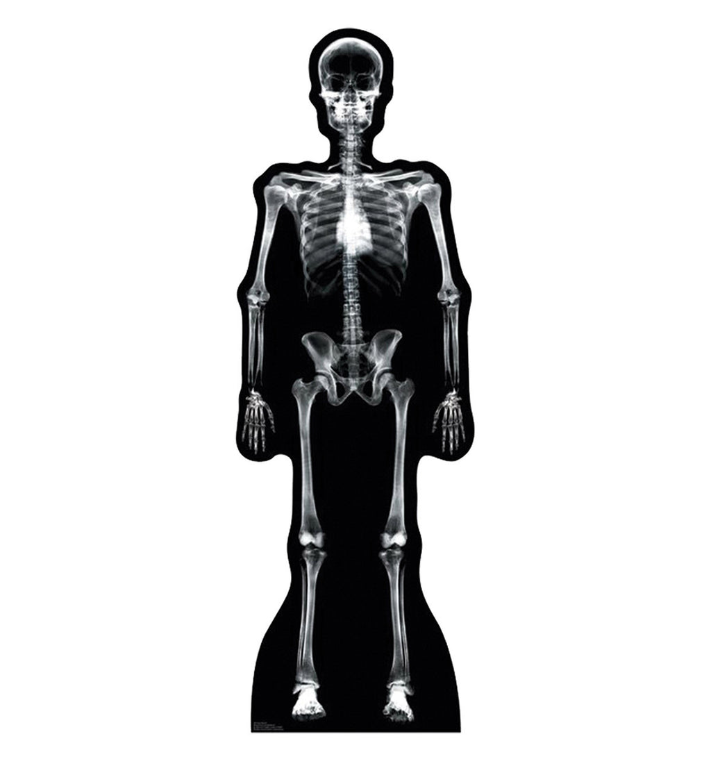 X-Ray Skeleton
Lifesize Cardboard Cutout