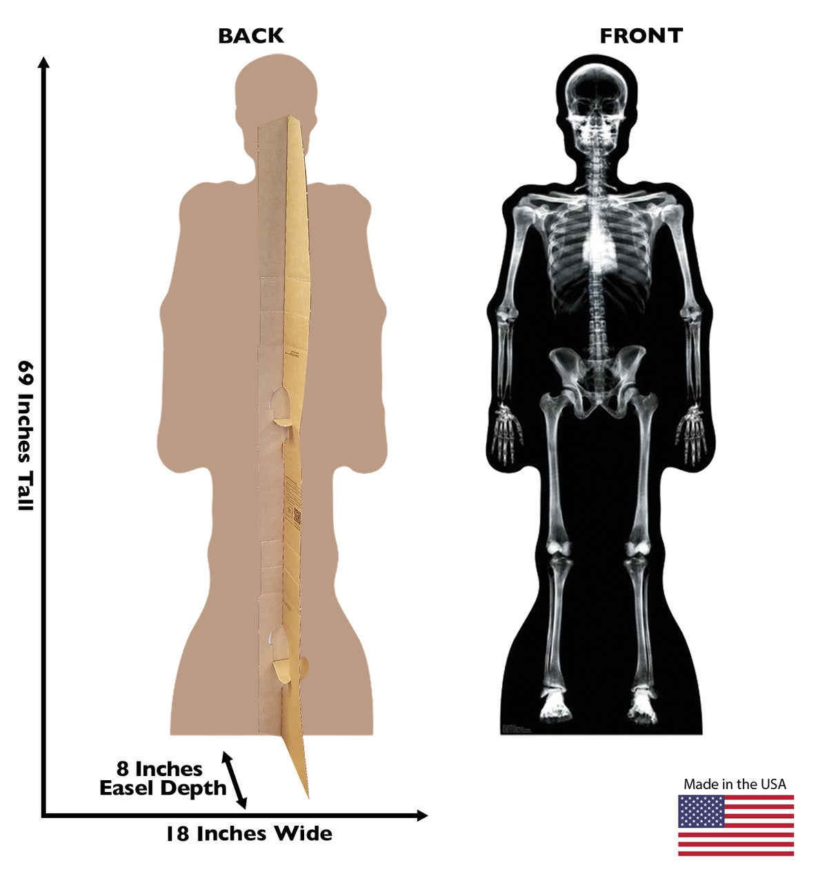 X-Ray Skeleton
Lifesize Cardboard Cutout Dimensions