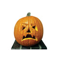 Single Pumpkin
Lifesize Cardboard Cutout