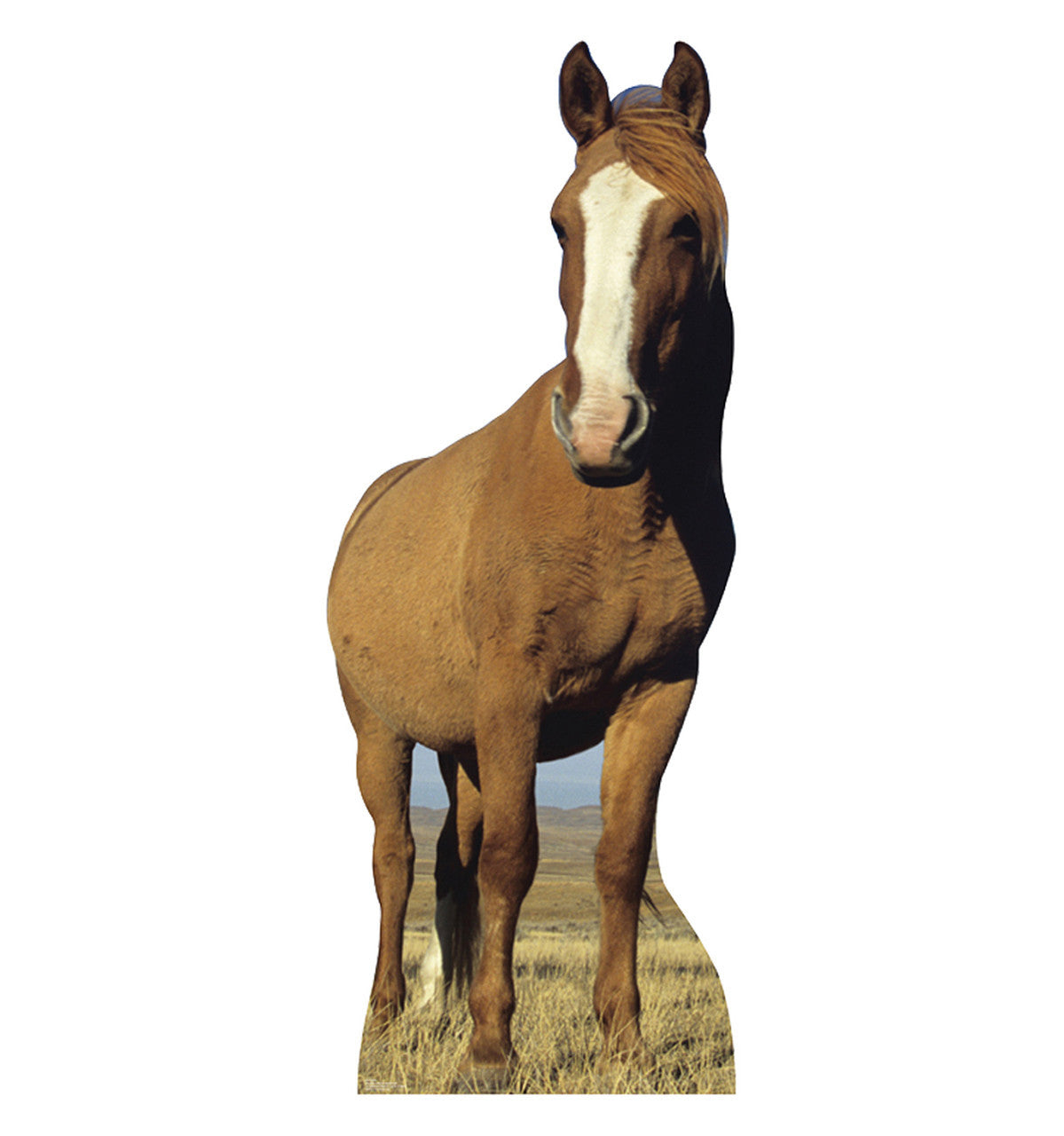 Stunning Horse Life-Size Cutout
